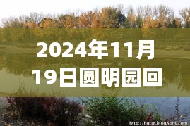 圓明園黑天鵝死亡事件揭秘,智能生態監測系統下的科技守護與挑戰