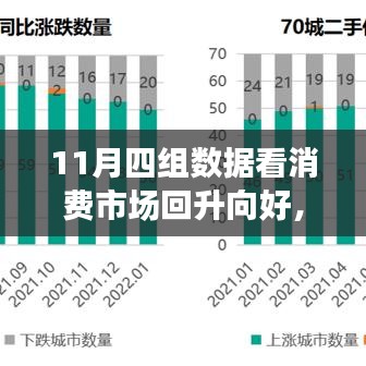 金秋十一月消費市場回暖趨勢解析,四大數據揭示市場回升向好態勢