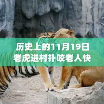 驚魂時刻與英勇脫險,猛虎進村襲擊老人,快速拉門化險為夷的傳奇故事