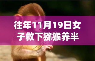 女子救助獼猴半年后面臨法律困境,動(dòng)物救助行為與法律邊界的探討
