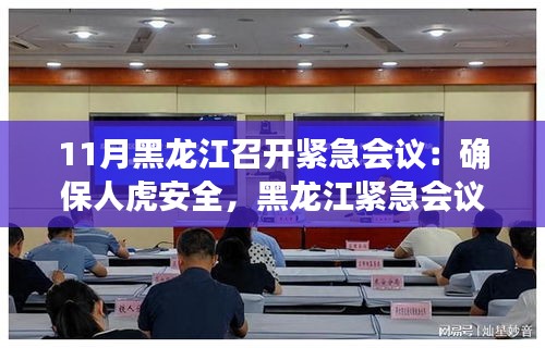 黑龍江召開緊急會議，共筑人虎安全防線，守護家園和諧安寧