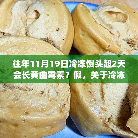 關于冷凍饅頭超過兩天是否會滋生黃曲霉素的真相探究