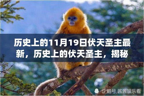 揭秘歷史上的伏天圣主,神秘事件與重大時刻的交織最新資訊(最新篇)