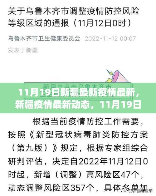 新疆疫情最新動態,11月19日抗疫進展與影響概述