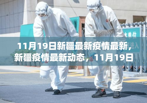 新疆疫情最新動態,11月19日抗疫進展與影響概述