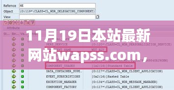 初學者與進階用戶必看,最新網站wapss.com使用指南全攻略