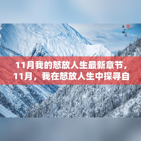 11月探尋自然秘境,怒放人生中的內心寧靜與平和