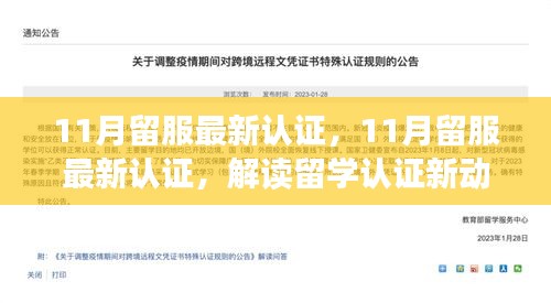 解讀最新留服認證動態,助力留學生職業發展,十一月留學認證更新概覽