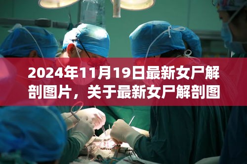 最新女尸解剖圖片探討,倫理與學術視角