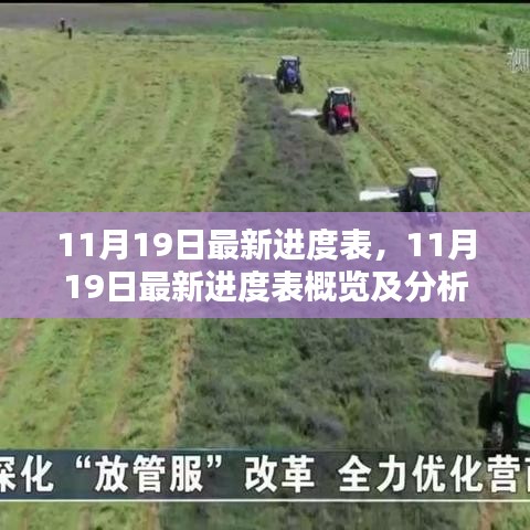 11月19日最新進度表詳解,概覽與深度分析