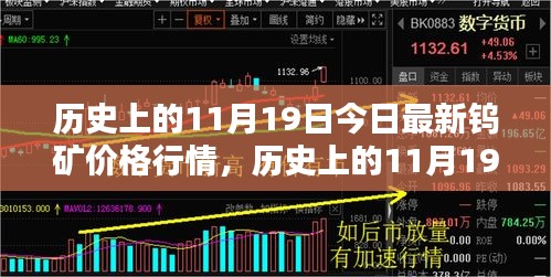 歷史上的11月19日鎢礦價格行情詳解,獲取與分析指南