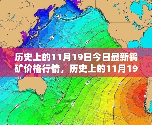 歷史上的11月19日鎢礦價格行情詳解,獲取與分析指南