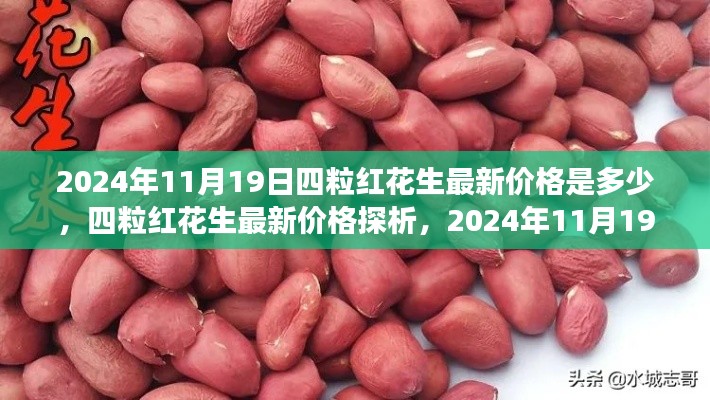 四粒紅花生最新價格觀察,2024年11月19日的探析與思考