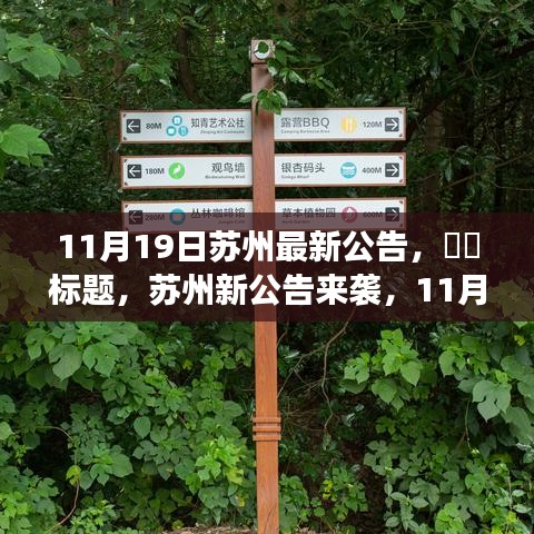 蘇州11月19日最新公告,自然秘境探索之旅,心靈寧靜之旅啟程