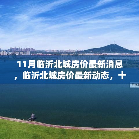 臨沂北城房價最新動態與深度觀察，十一月房價消息一覽
