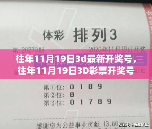 往年11月19日3D彩票開獎號碼詳解，評測、特性、用戶體驗、競品對比及用戶分析