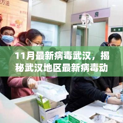 揭秘武漢地區最新病毒動態,11月病毒威脅分析報告