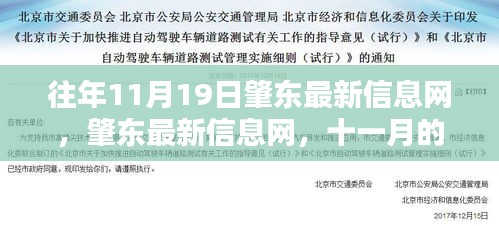 肇東最新信息動態(tài),十一月回響與時代印記