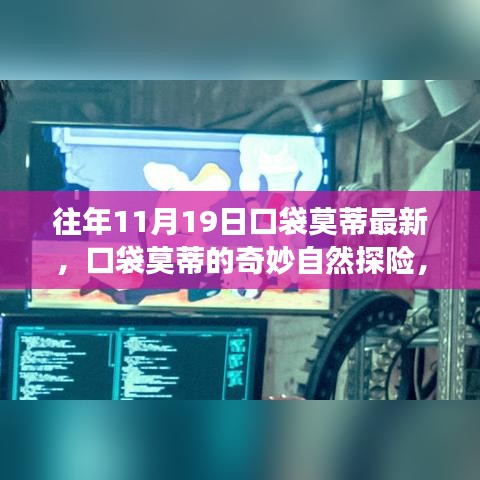 口袋莫蒂奇妙自然探險,11月19日的秘密之旅更新發布