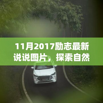 探索自然秘境,洗滌心靈之旅,遇見最美的風景——勵志說說圖片集