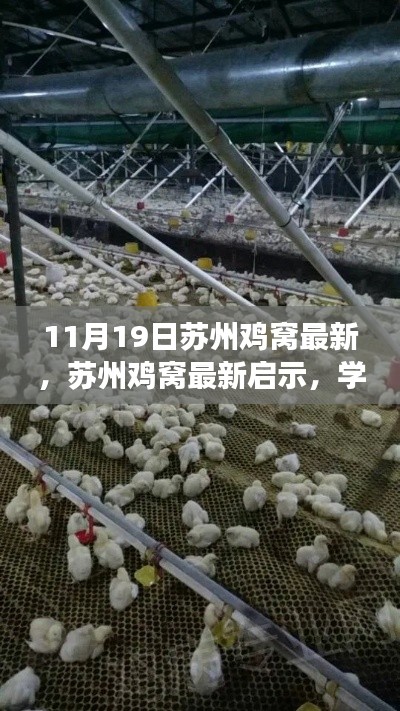 蘇州雞窩最新啟示,學(xué)習(xí)變化的力量,鑄就自信與成就之路