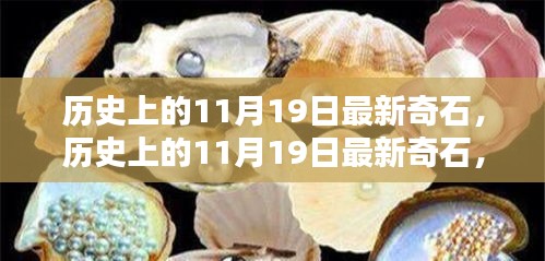 歷史上的11月19日,最新奇石的獨特魅力與深度解析