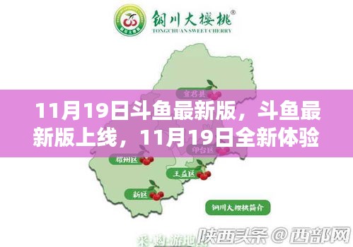 斗魚最新版上線,全新體驗來襲,11月19日獨家呈現!