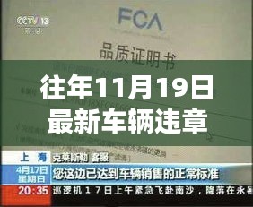 意外驚喜!往年11月19日車輛違章記錄查詢結果揭曉