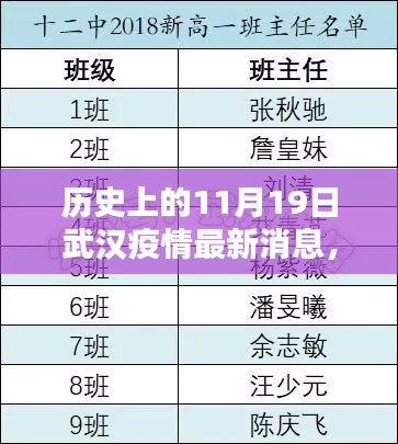 武漢疫情回顧,歷史上的11月19日最新消息解析