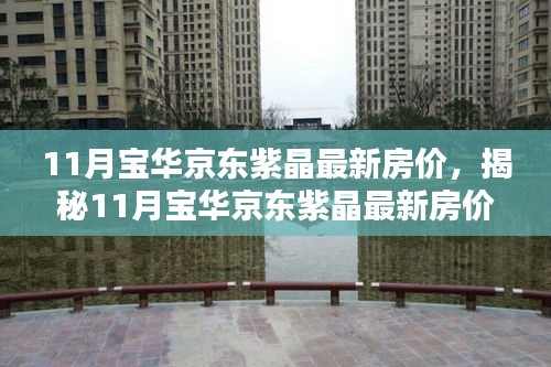 揭秘,11月寶華京東紫晶最新房價與投資先機全解析!