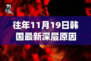 探尋歷年11月19日韓國電影的深層原因與背后故事