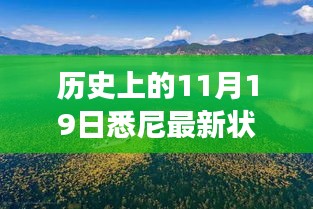 歷史上的11月19日，悉尼最新狀況與秘境探索，自然美景中的心靈之旅
