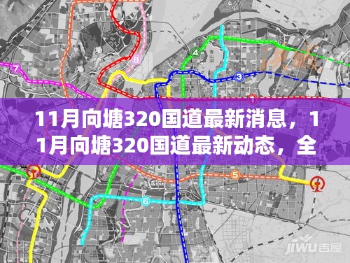 11月向塘320國(guó)道最新動(dòng)態(tài)及全方位了解與行動(dòng)指南