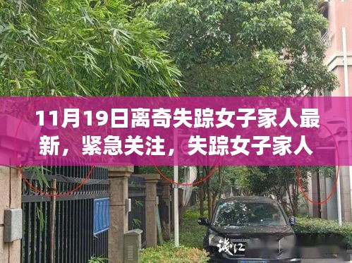失蹤女子最新動(dòng)態(tài)揭秘，家人緊急關(guān)注，11月離奇失蹤案件真相探尋