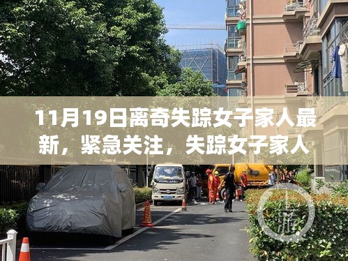 失蹤女子最新動(dòng)態(tài)揭秘,家人緊急關(guān)注,11月離奇失蹤案件真相探尋