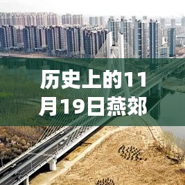 歷史上的11月19日，燕郊徐尹路最新進展全面綜述