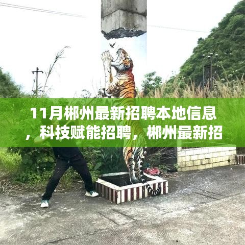 科技賦能新時(shí)代招聘,郴州最新招聘信息匯總