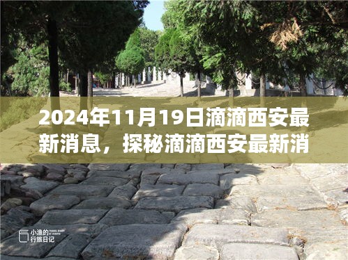 滴滴西安最新動態揭秘,小巷深處的隱藏瑰寶(2024年11月19日更新)