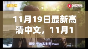 11月19日高清日常,溫情與歡笑的瞬間