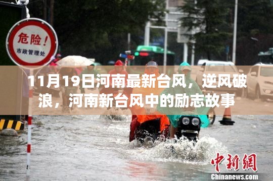 河南新臺風中的逆風破浪勵志故事,11月19日最新動態