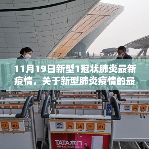 11月19日新型肺炎疫情最新動態觀察報告