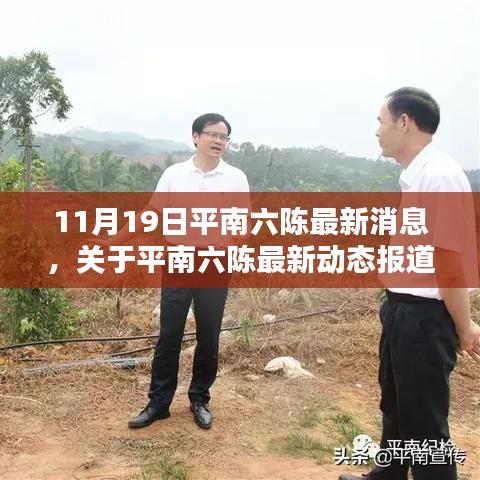 平南六陳最新動態報道,聚焦要聞,揭秘11月19日最新消息