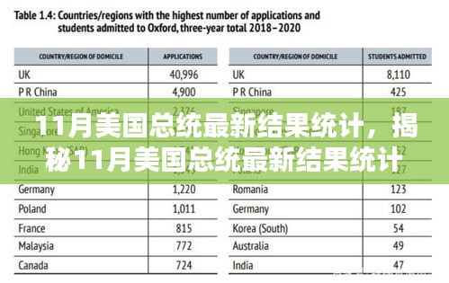 揭秘11月美國總統大選最新結果統計,深度分析與熱議話題的背后揭秘
