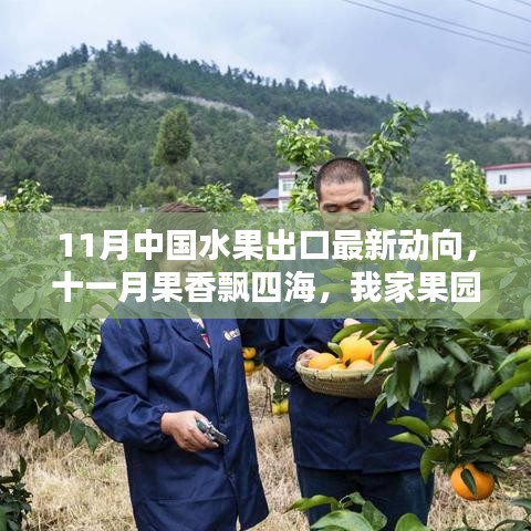 11月水果出口最新動態,果香飄四海,跨國友情與果園的出口奇遇