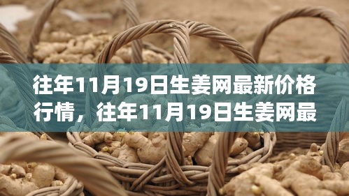 往年11月19日生姜網價格行情深度解析與介紹