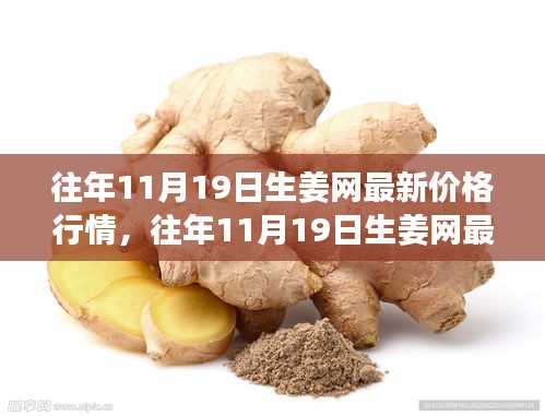 往年11月19日生姜網(wǎng)價(jià)格行情深度解析與介紹