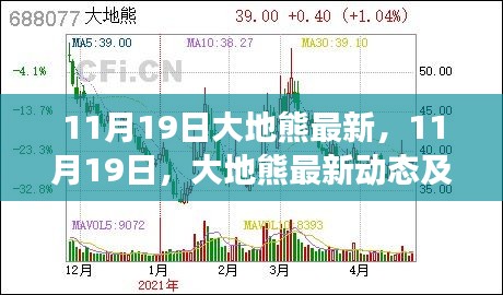 大地熊最新動態及展望(11月19日更新)