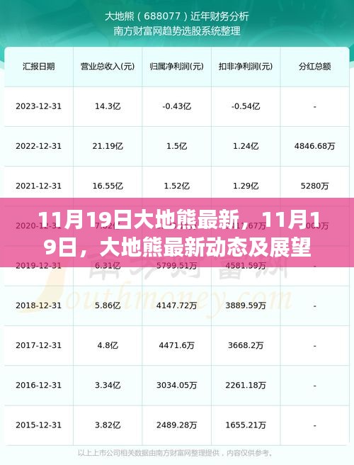 大地熊最新動態及展望（11月19日更新）