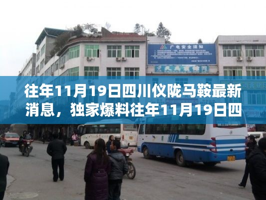獨家揭秘,往年11月19日四川儀隴馬鞍最新消息全解析
