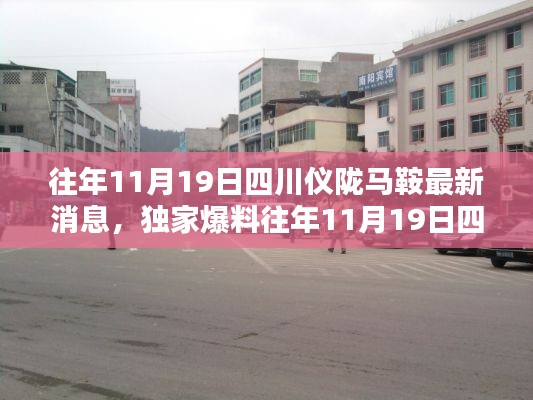 獨家揭秘,往年11月19日四川儀隴馬鞍最新消息全解析